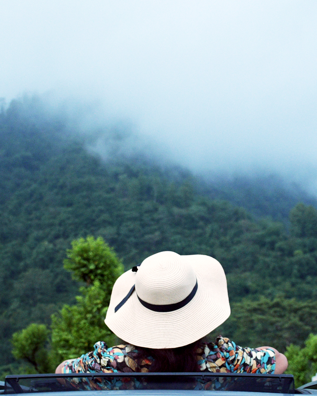 Akanksha Chaudhary in a sun hat, looking out over a foggy forested hillside